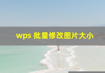 wps 批量修改图片大小